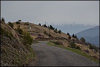 DSC_5181.JPG