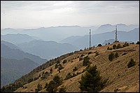 DSC_5200KGCo.jpg