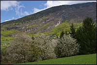 DSC_5299.JPG