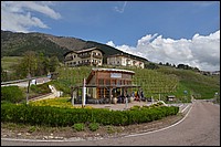 DSC_5311D.jpg