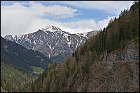 DSC_5317.JPG