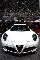 DSC_3208D.jpg