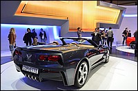 DSC_3723D.jpg