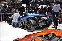 DSC_3805D.jpg