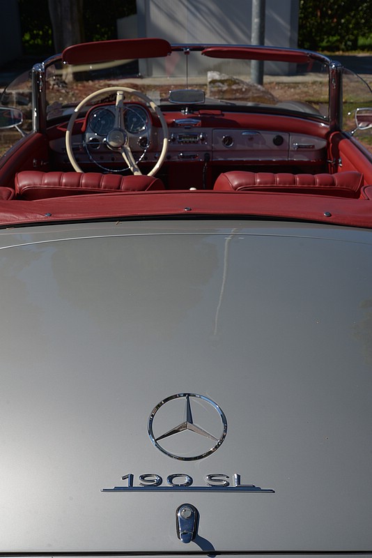 DSC_8223.JPG