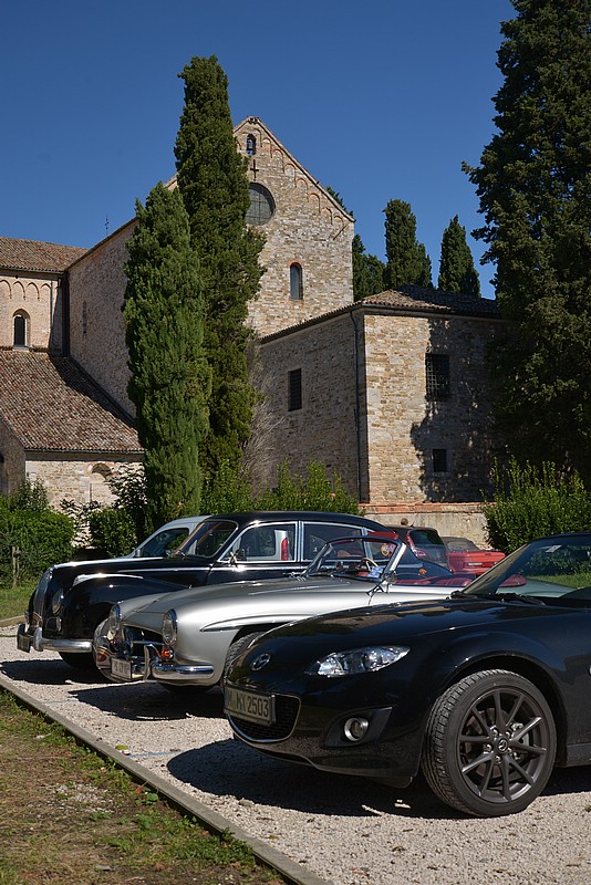 DSC_8225E.jpg