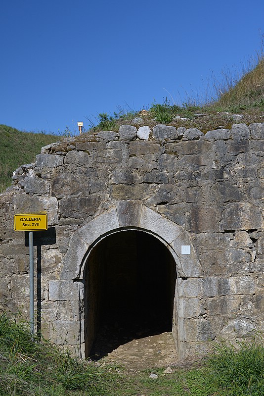 DSC_8430.JPG