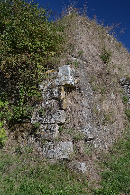 DSC_8444.JPG