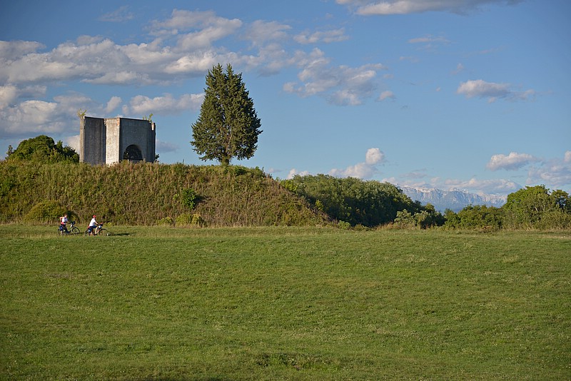 DSC_8509G.jpg