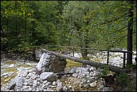 DSC_7422.JPG