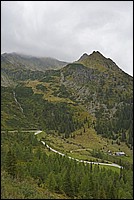 DSC_7445G.jpg