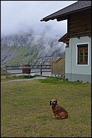 DSC_7503Co.jpg