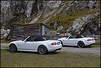 DSC_7505.JPG