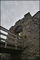 DSC_7686G.jpg