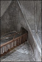 DSC_7785.JPG