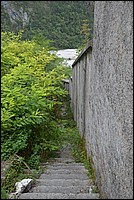 DSC_8119.JPG