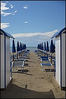 DSC_8181.JPG