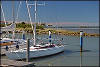 DSC_8213.JPG