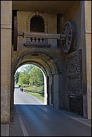 DSC_8488DG.jpg