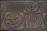 DSC_9308.JPG