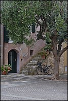 DSC_9386BDK.jpg