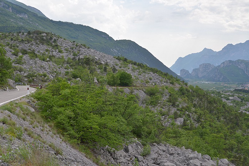 DSC_5424.JPG