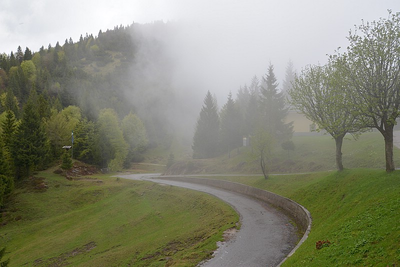 DSC_5540.JPG