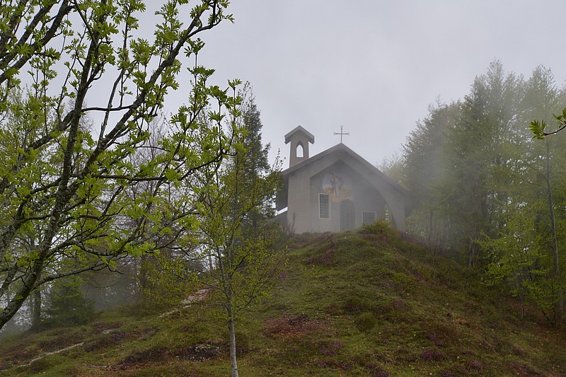 DSC_5541C.jpg