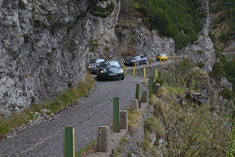 DSC_5551G.jpg