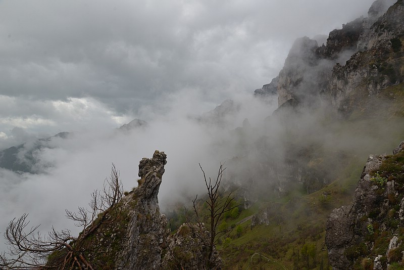 DSC_5558.JPG