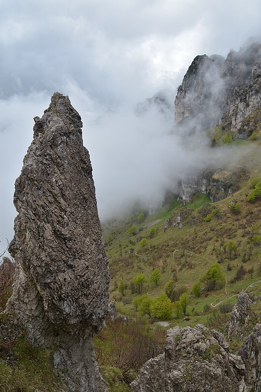 DSC_5576.JPG