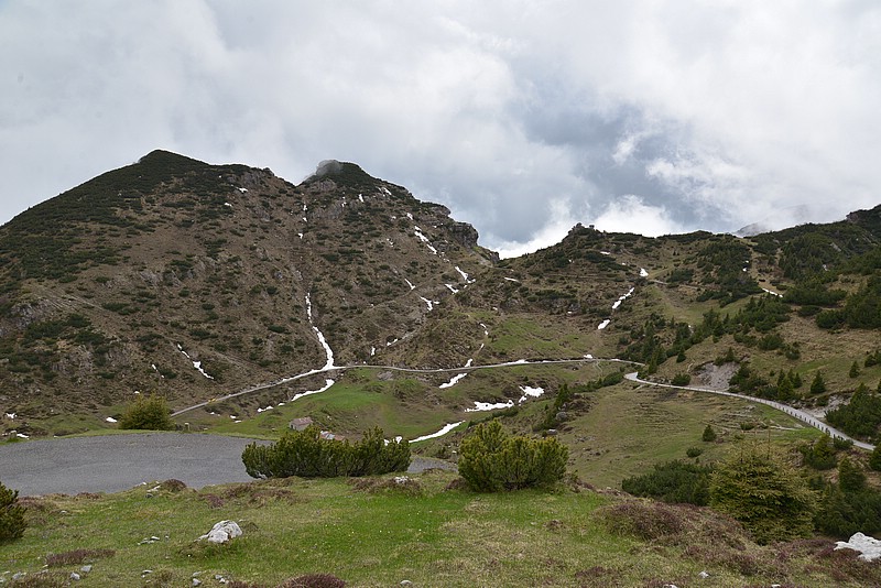 DSC_5596.JPG