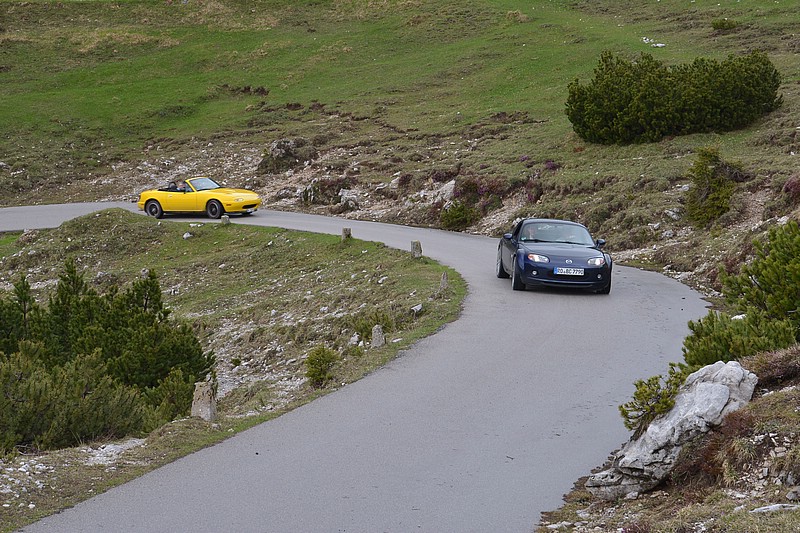 DSC_5608C.jpg