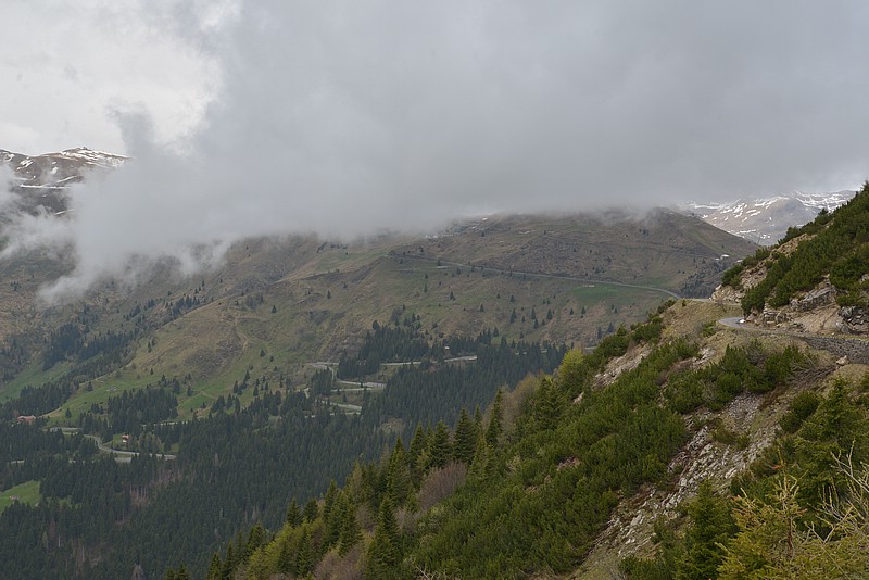 DSC_5620.JPG