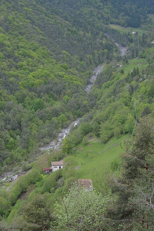 DSC_5650.JPG