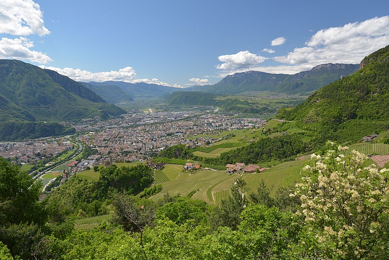 DSC_5820.JPG