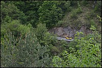 DSC_5498.JPG