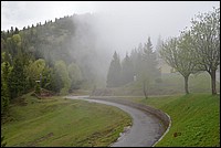 DSC_5540.JPG