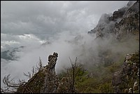 DSC_5558.JPG