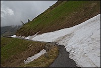 DSC_5618.JPG