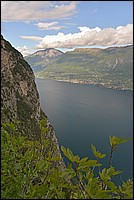 DSC_5723G.jpg