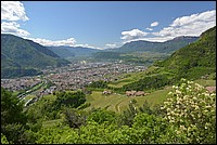 DSC_5820.JPG