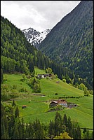 DSC_5838D.jpg