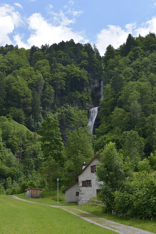 DSC_6050Co.jpg