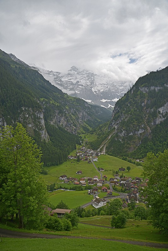 DSC_6070Co.jpg