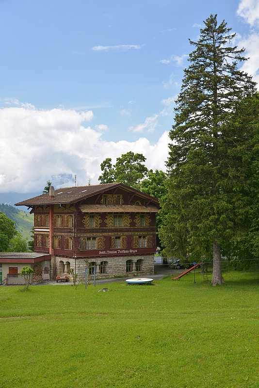DSC_6073.JPG