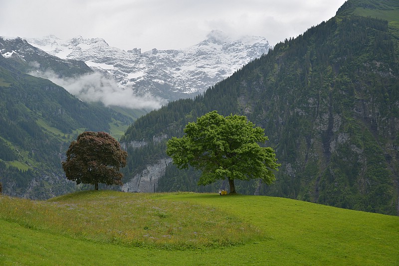 DSC_6074.JPG