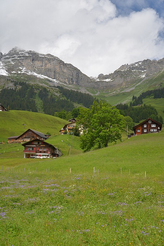 DSC_6077.JPG