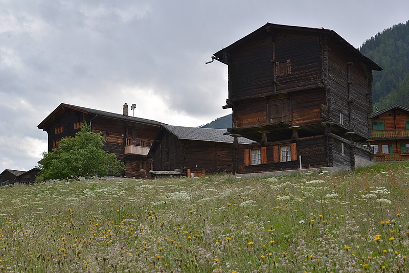 DSC_6205.JPG
