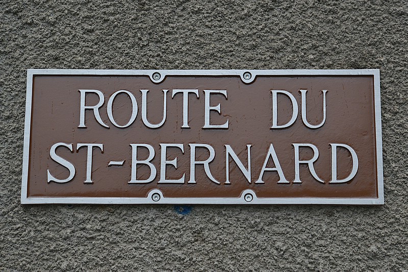 DSC_6250D.jpg
